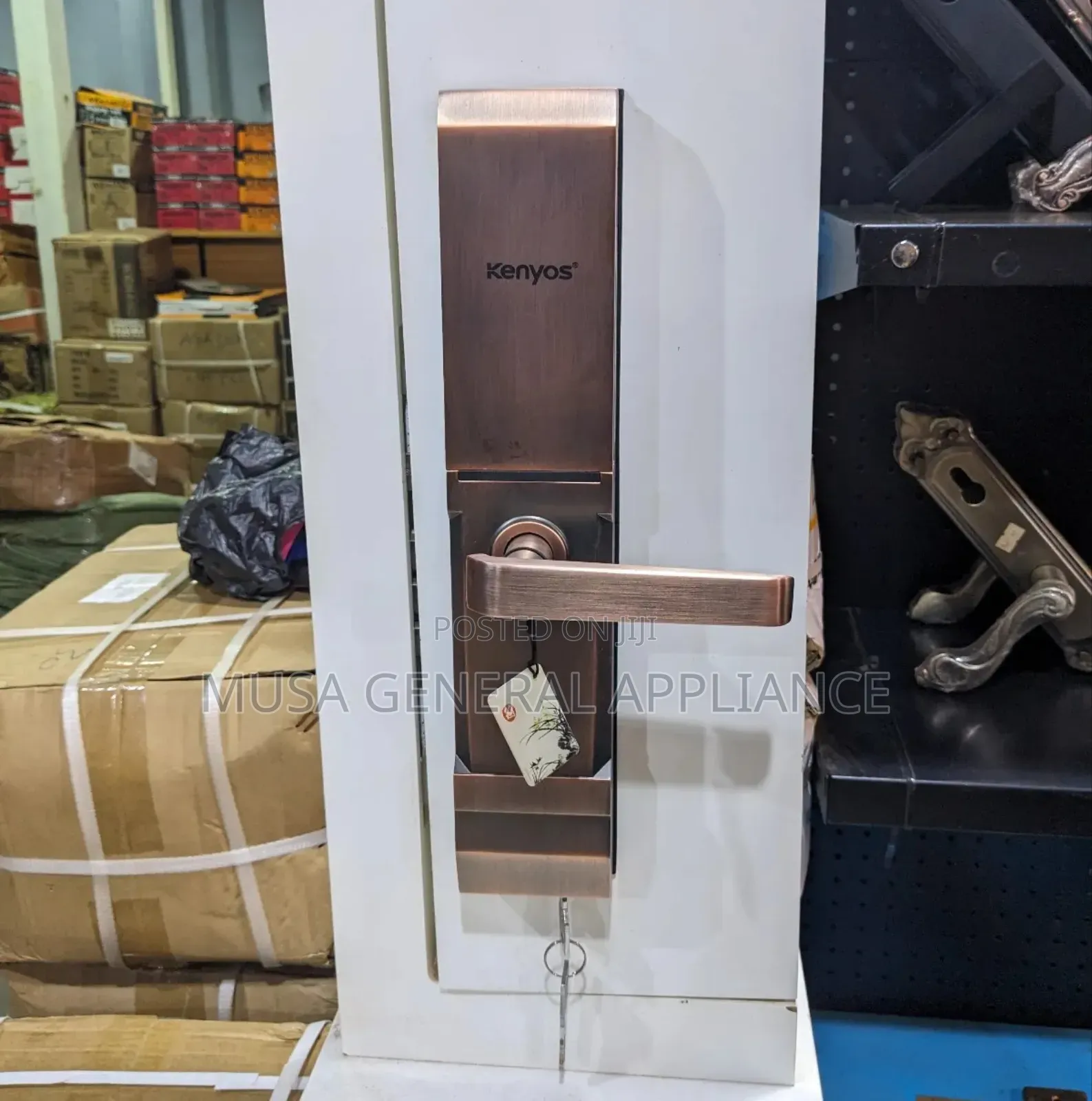 Kenyos Smart Door Lock