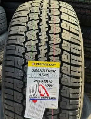 265/55r19 109v Dunlop Grand Trek