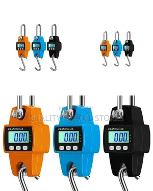 Portable Hanging Scale