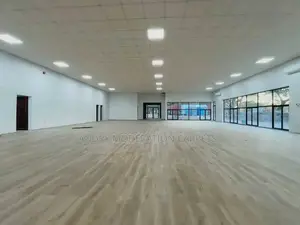 Executive PVC Hard Carpets