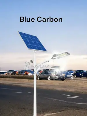 500w Choc Blue Carbon Solar Street Light Brandest Lithium