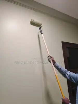 Painting and Ceiling Project 888