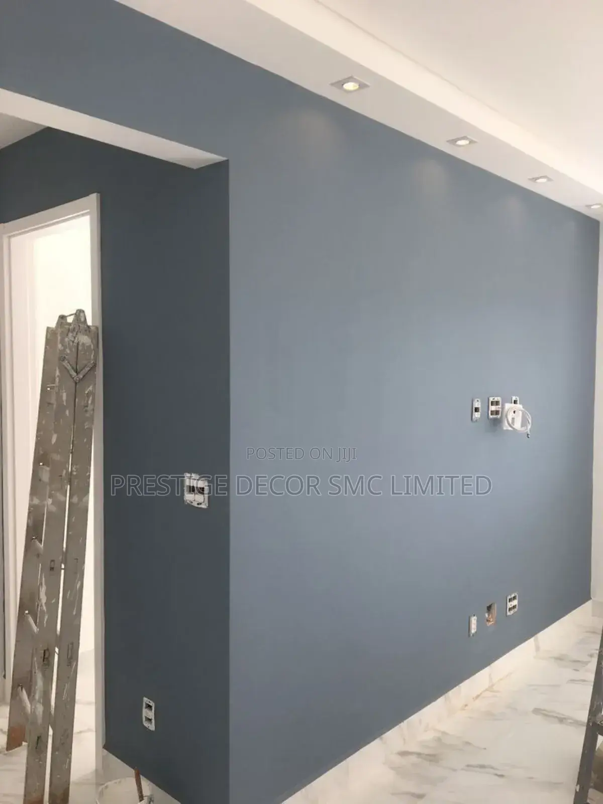 Painting and Ceiling Project 888