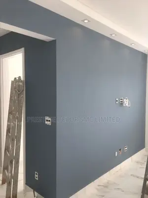 Painting and Ceiling Project 888