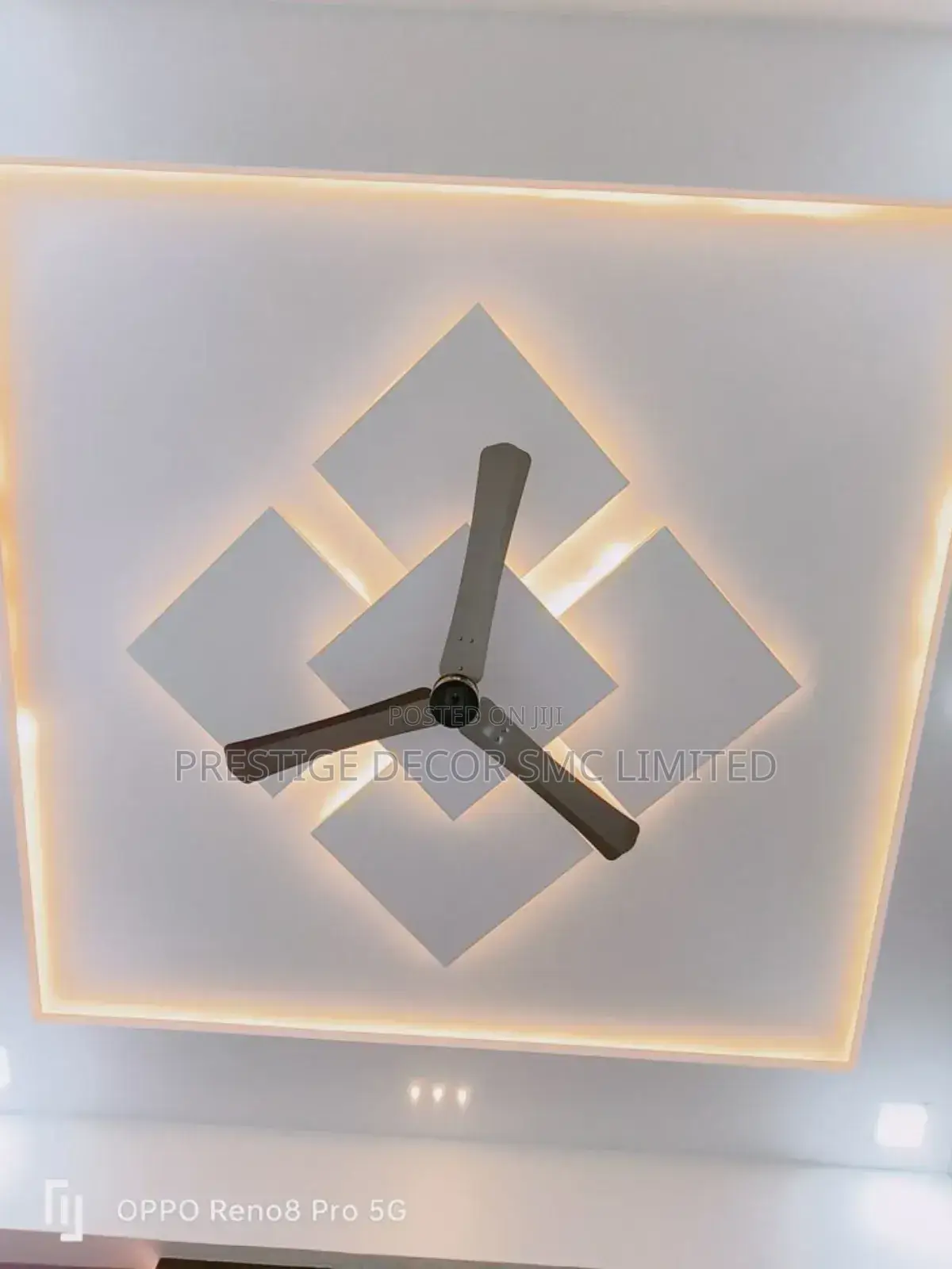 Ceiling Project Ee5