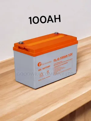 100ah Felicity Battery Brandest