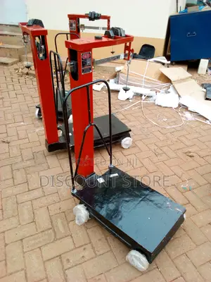 300kg Bench Mechanical Platform Weighing Scale