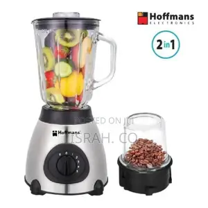 Hoffmans Blender Silver