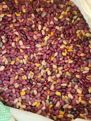 Beans Available in Kampala