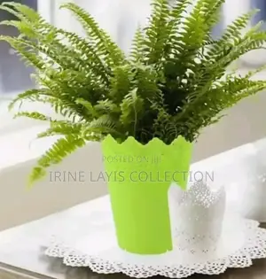 Plastic Organizers
