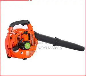 Blowers/Dust Blower