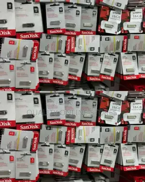 San Disk Flash