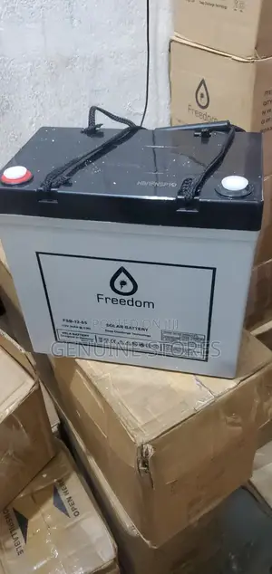 55 Ah Freedom Battery Made in Germany