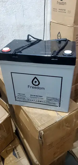 55 Ah Freedom Battery Made in Germany