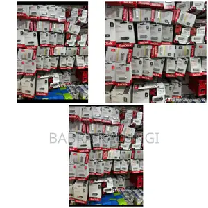 Sandisk Flash Drive