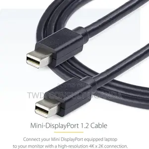 Mini Dp Displayport Cable 1.8m