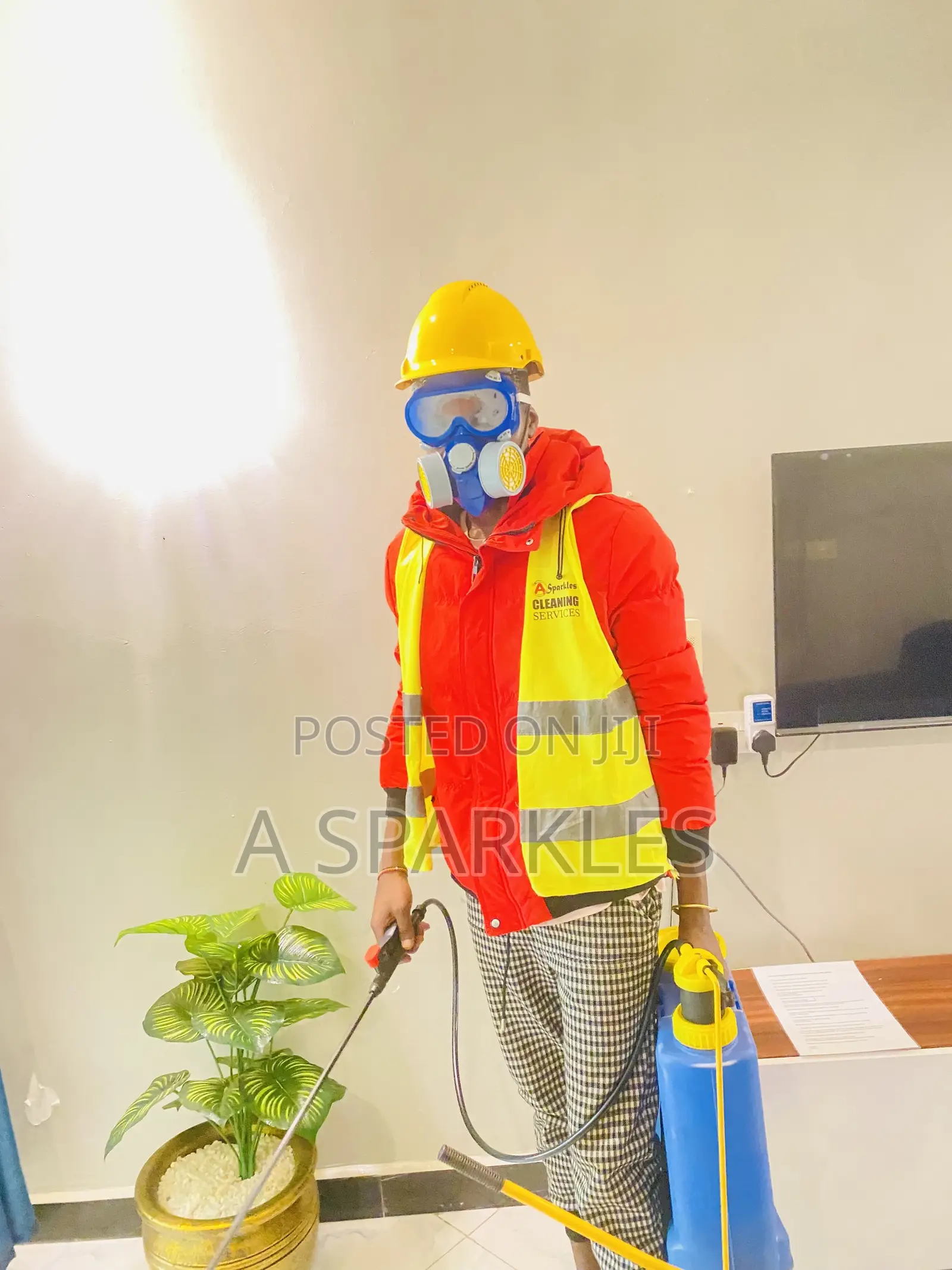 Fumigation Services by Profession Reliable Personnel