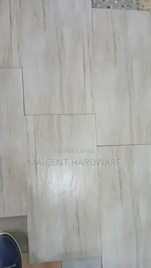 30 by 60 Micasso Floor Tiles