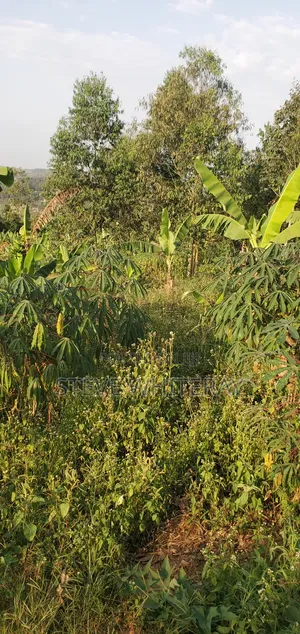 Land for Sale Near Kampala 100ft by 50
