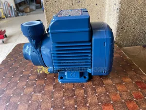 Portable Surface Water Pump Pedrollo