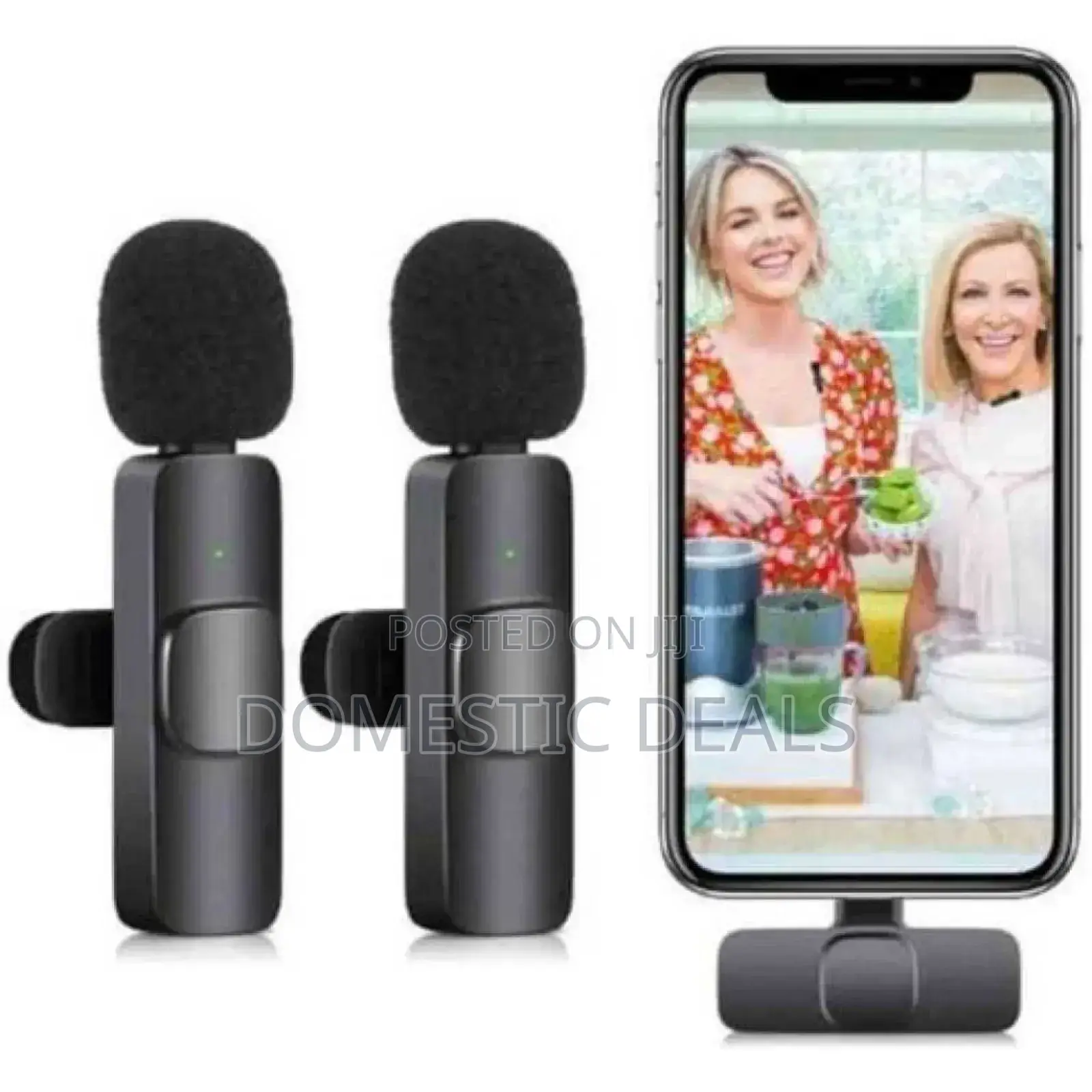 Dual Wireless Microphone