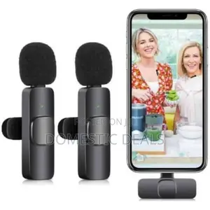 Dual Wireless Microphone