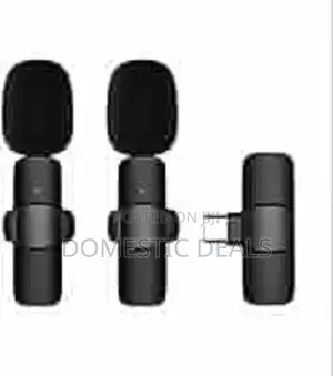 Double Wireless Microphone