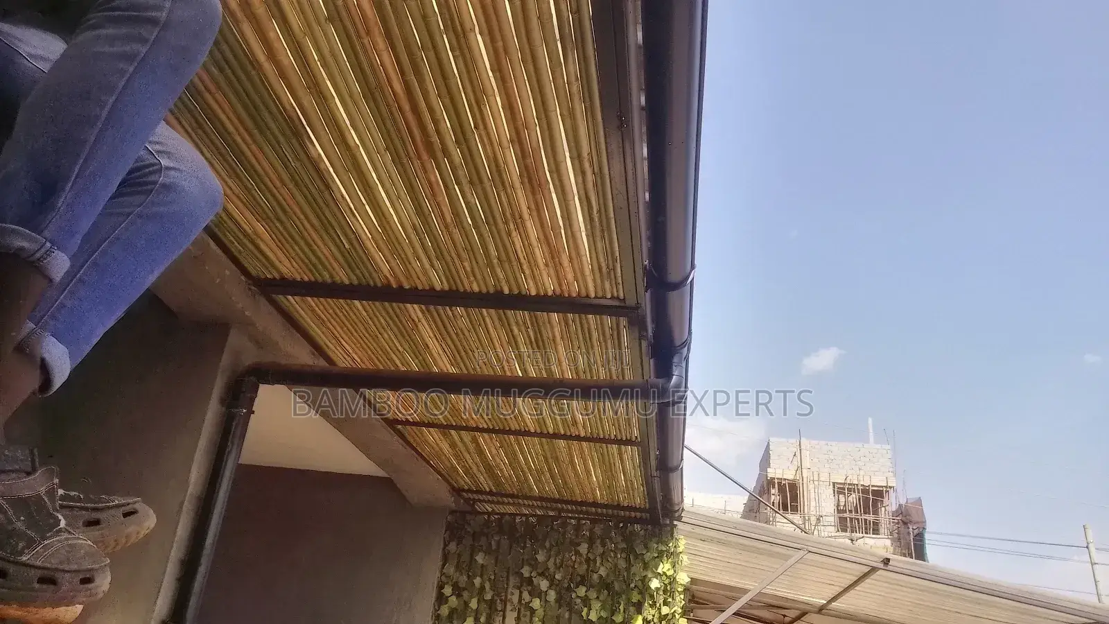 Bamboo Ceilings