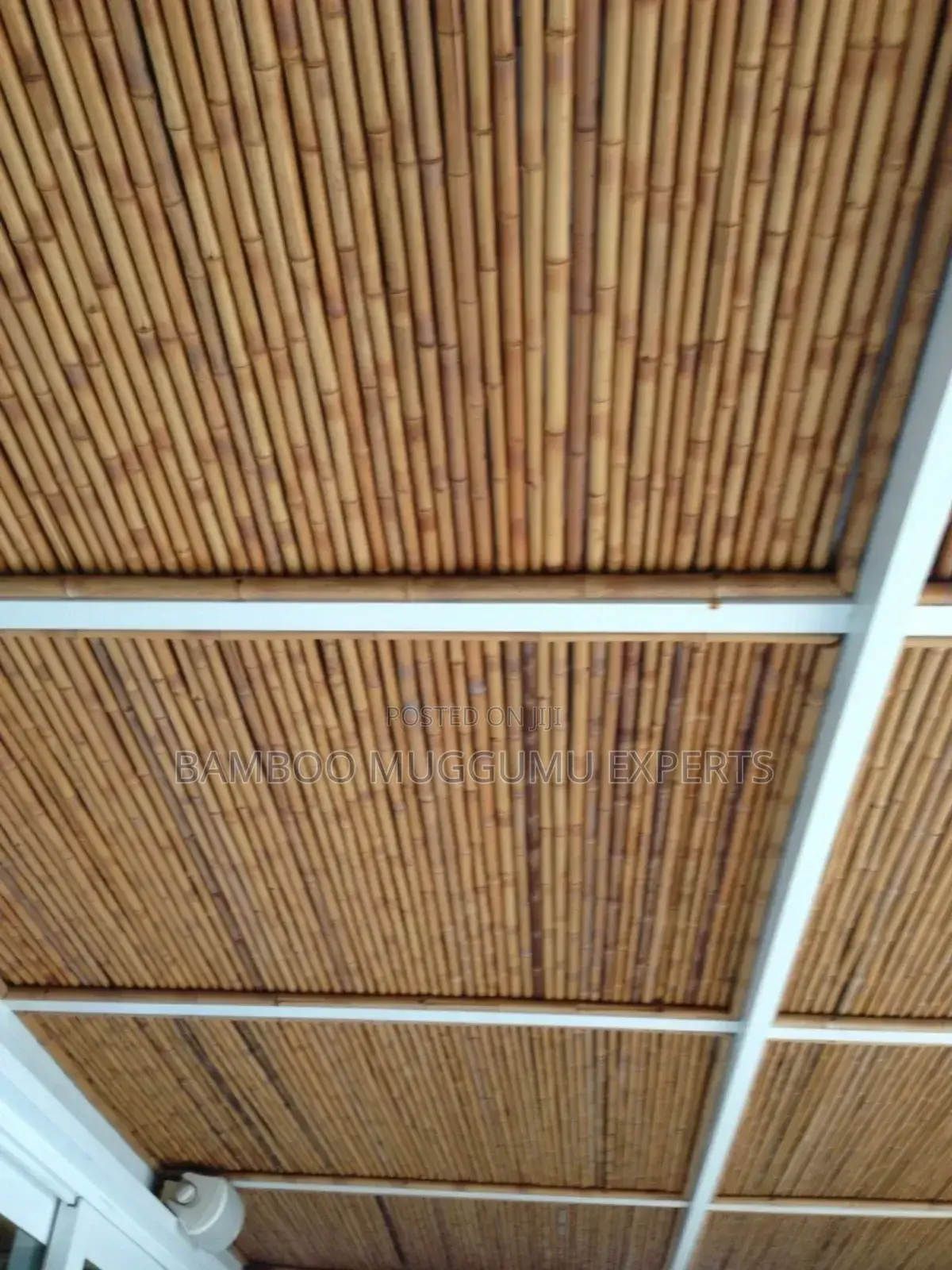 Bamboo Ceilings