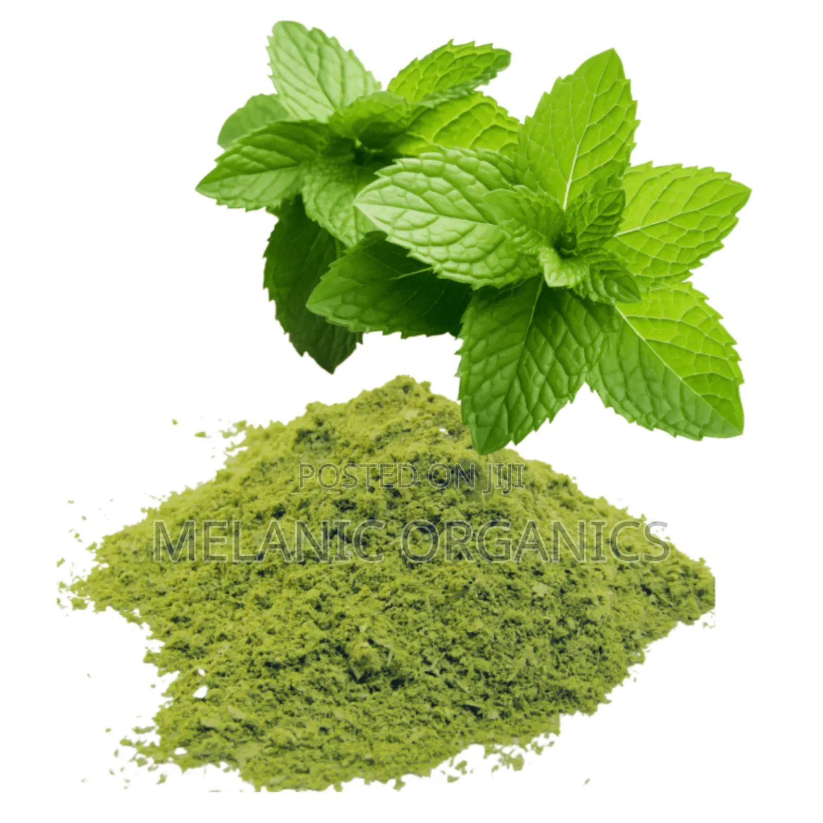 .Spearmint Leaf Powder 50gm