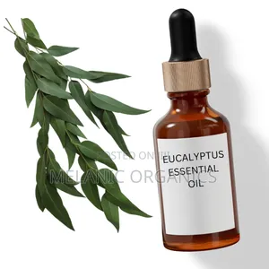 Eucalyptus Essential Oil 10ml