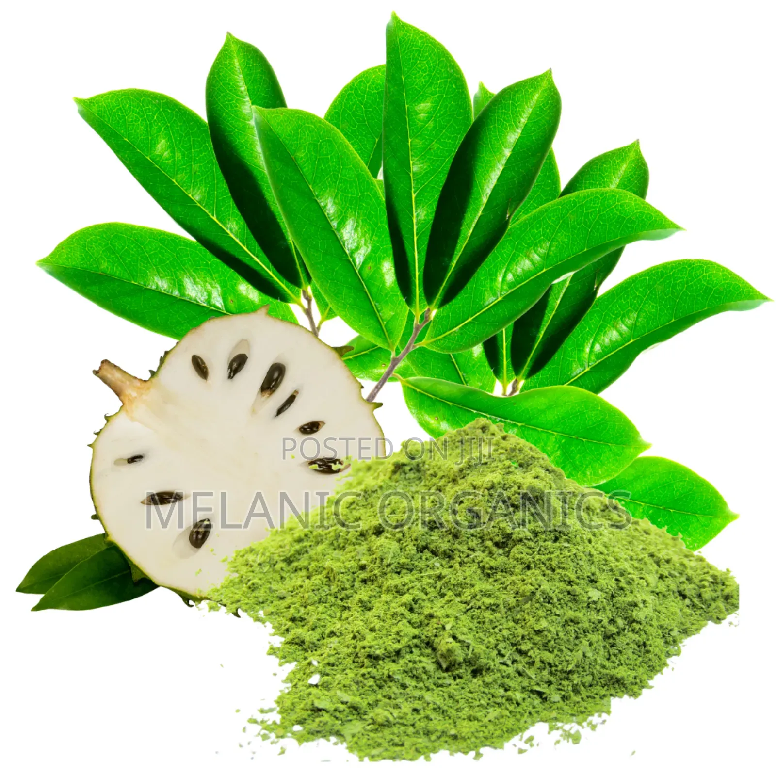 .Soursop Leaf Powder