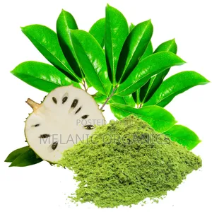 .Soursop Leaf Powder