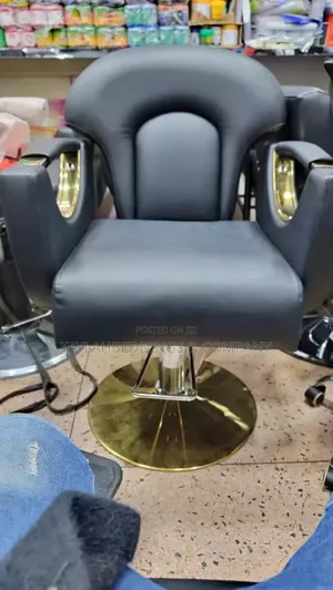 Height Adjustable Hair Salon Chair With Heavy Duty Hydraulic