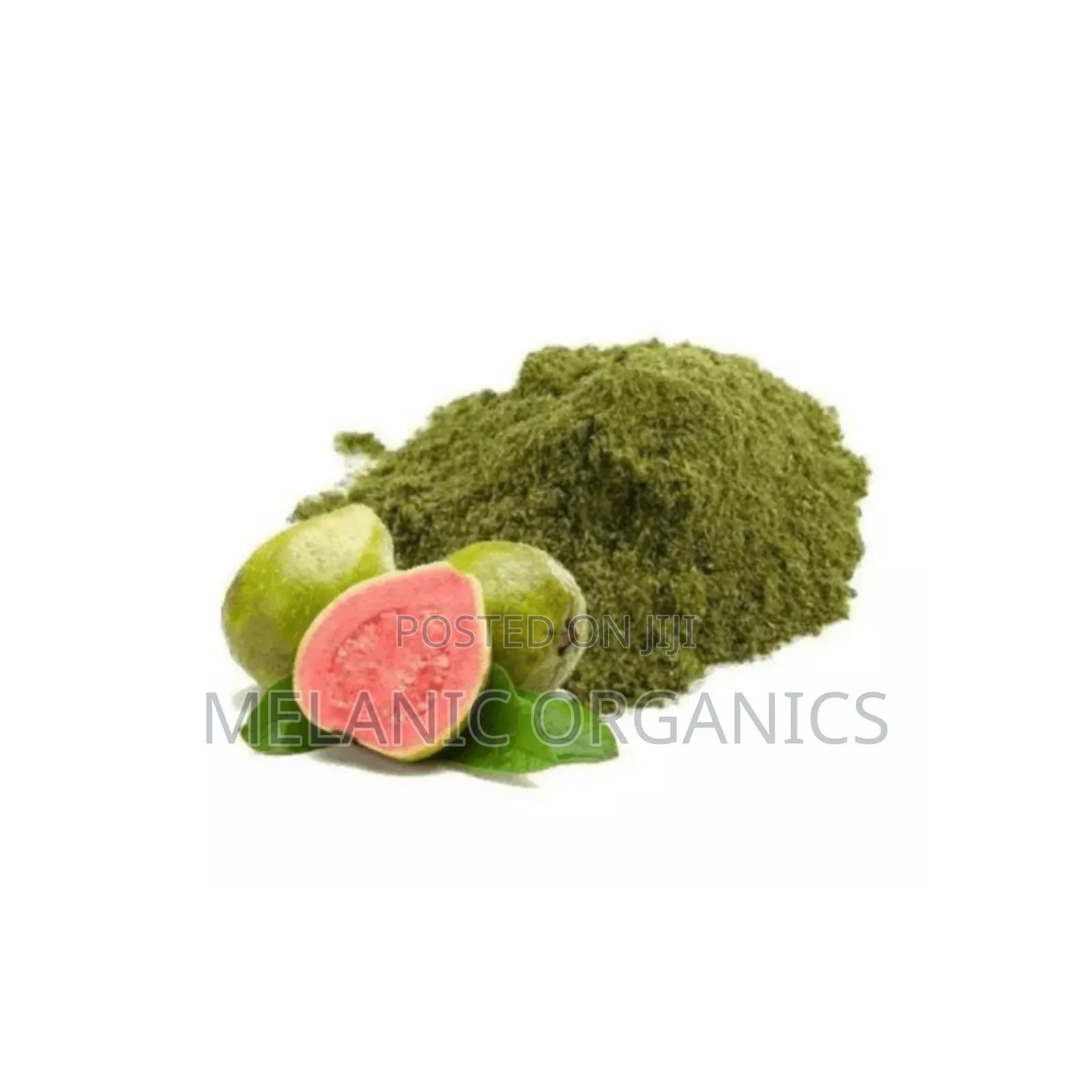 Guava Leaf Powder