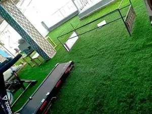 Synthetic Grass Carpet