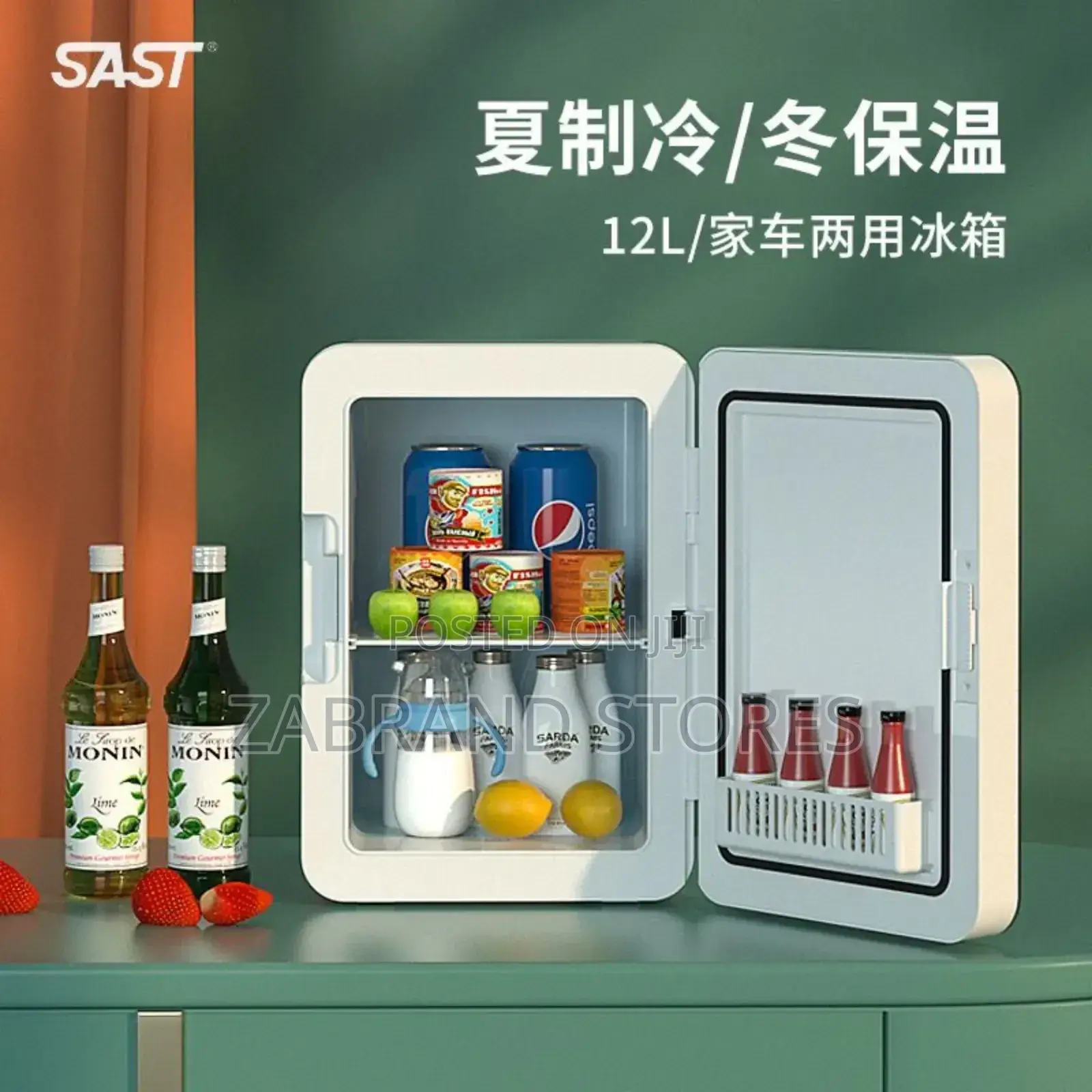 Mini Car Fridge