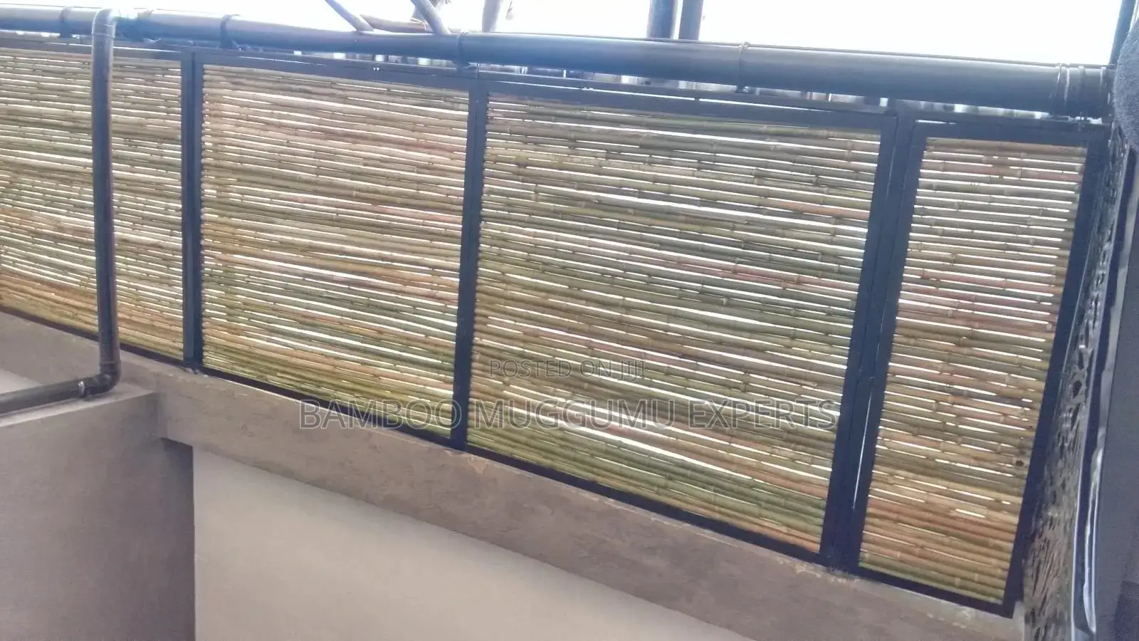 Bamboo Ceilings
