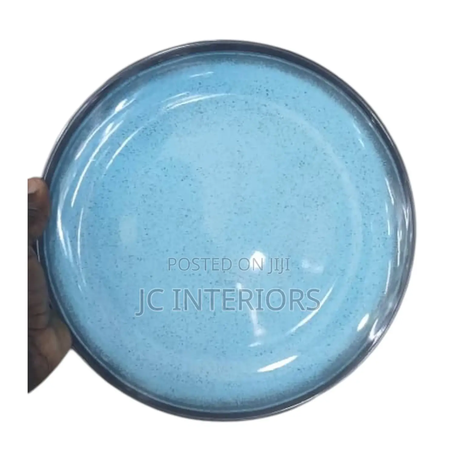 Dinner Plates - Large