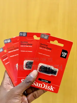 Sandisk 128gb Flash Drive / Flash Disk