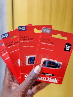 Sandisk 128gb Flash Drive / Flash Disk