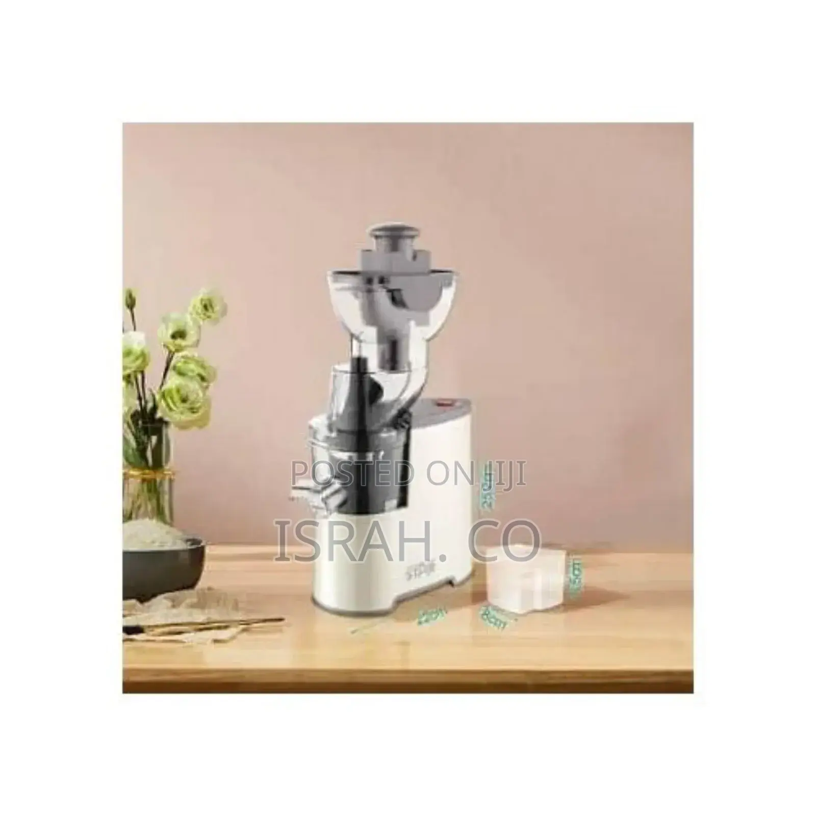 Winning Star 300ml Electric Fruit Vegetable Juice Extractor