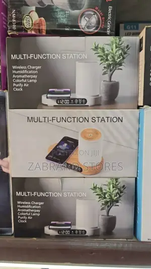 Multifunctional Humidifier Station