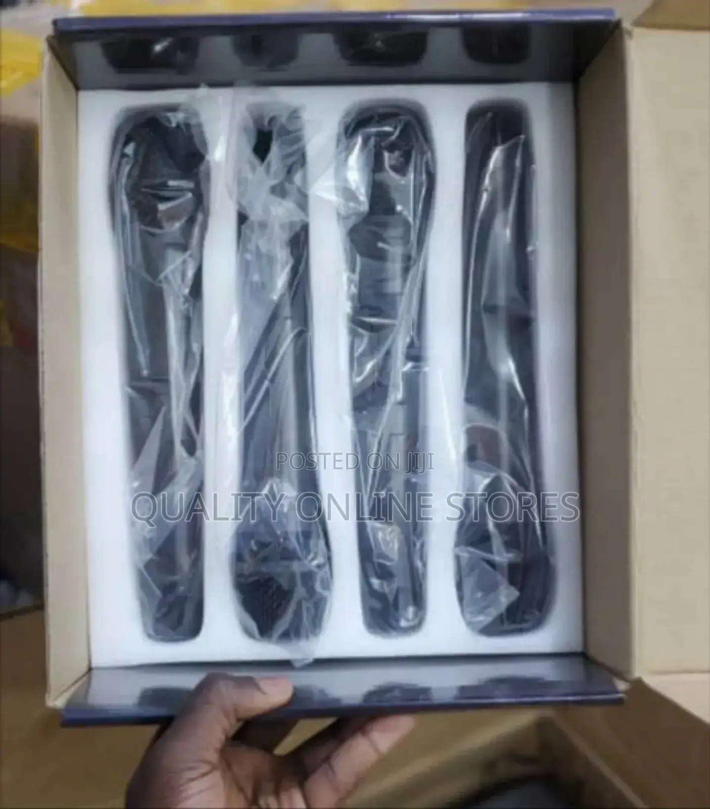 Professional Wireless Microphone