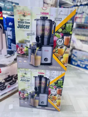 1l DSP Whole Slow Juicer 3000w