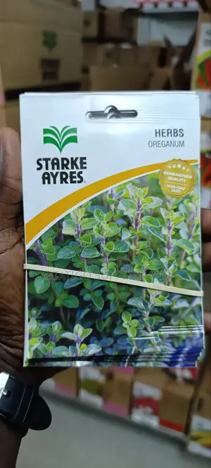 Herbs Seeds Oreganum