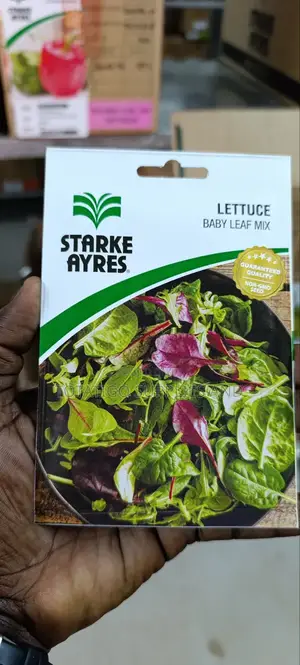 Lettuce Seeds