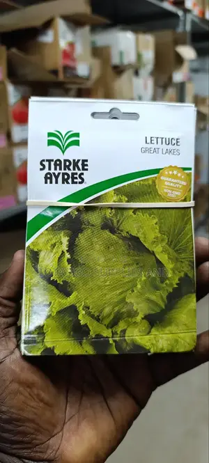Lettuce Seeds