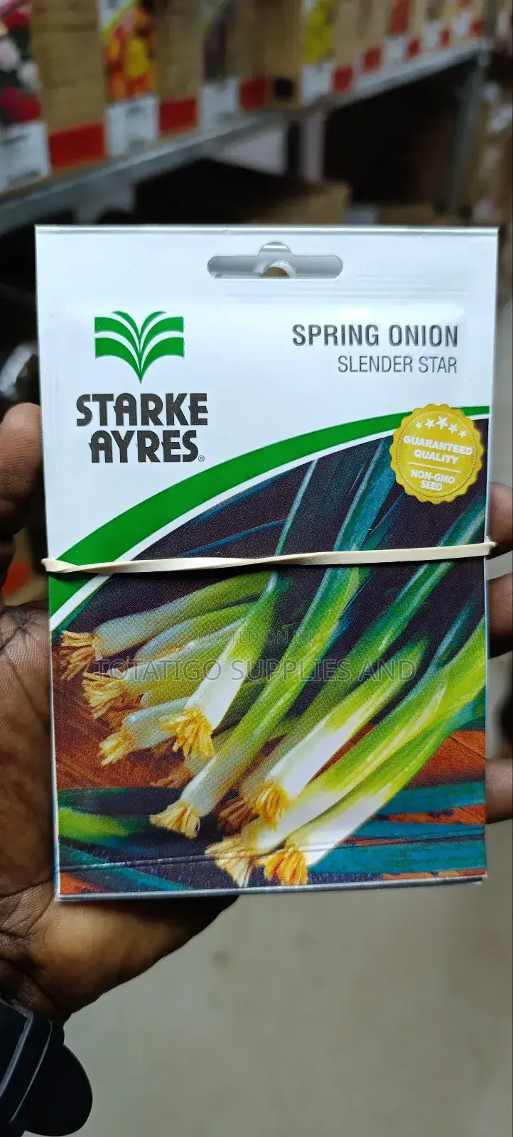 Spring Onion Seeds