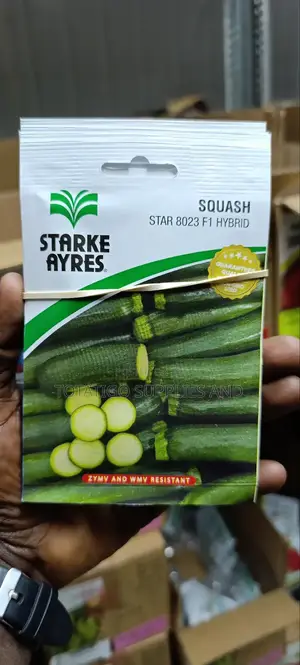 Spring Onion Seeds